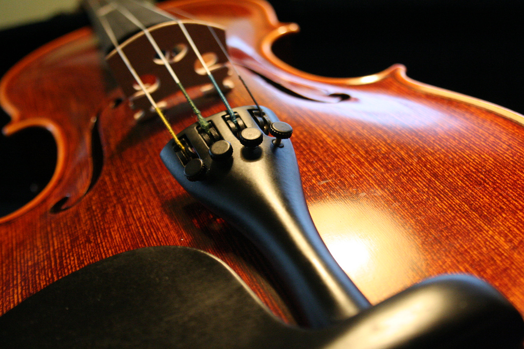 violin photo